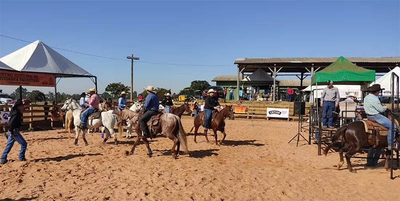 Centro Municipal de Atividades Equestres de São Carlos — Foto: Prefeitura de São Carlos/Divulgação / G1 São Carlos