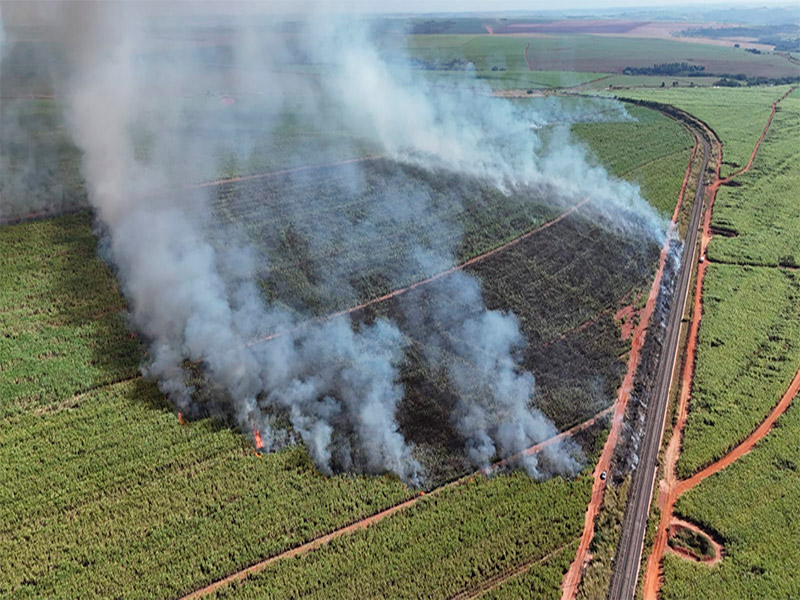 Incêndio mobiliza equipes de emergência de Ibaté, Araraquara e empresas da região