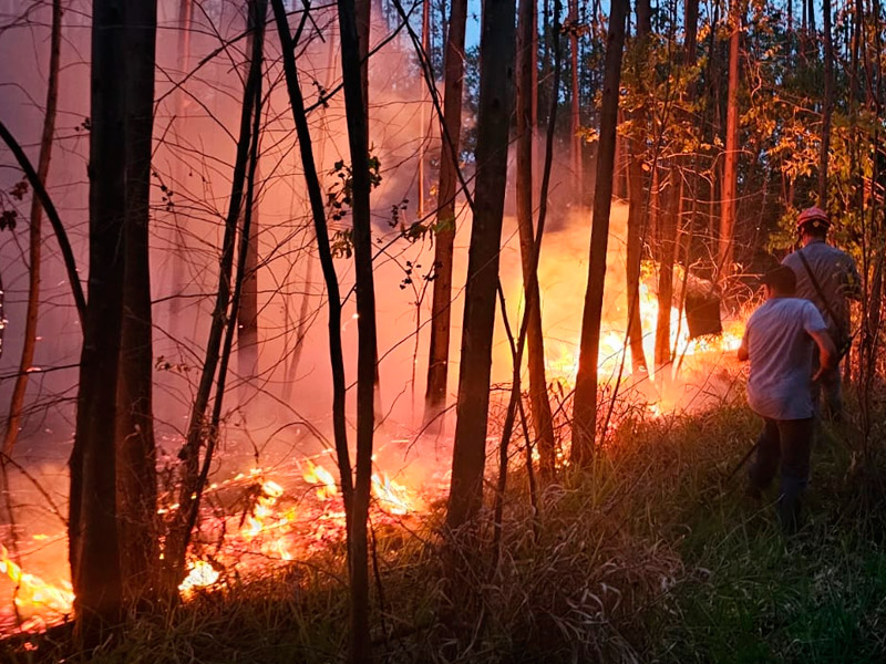 Defesa Civil atende dois incêndios em áreas de vegetação em Ibaté nesta segunda-feira