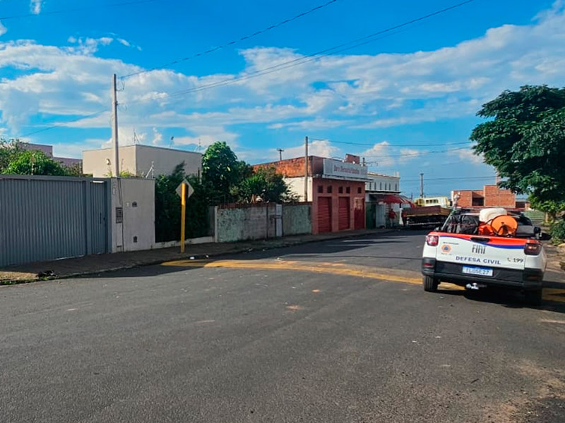 Proprietário de pitbull é conduzido ao DP após ataque a dois gatos