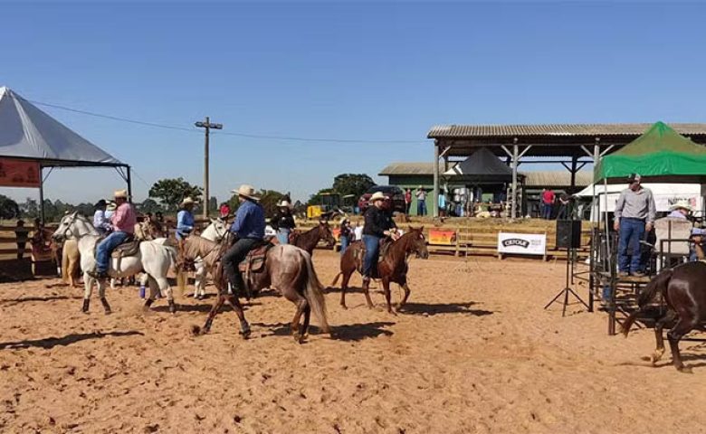 Centro Municipal de Atividades Equestres de São Carlos — Foto: Prefeitura de São Carlos/Divulgação / G1 São Carlos